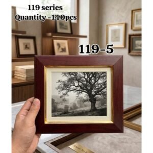 119 Series