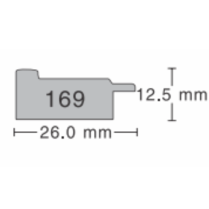 169 Series Moulding