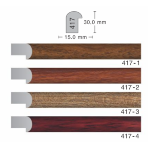 417 Series Moulding