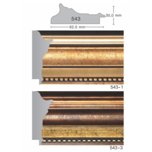 543 Series Moulding