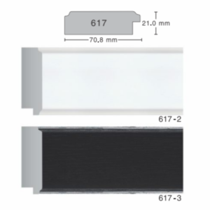 617 Series Moulding