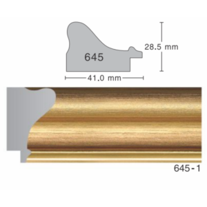 645 Series Moulding