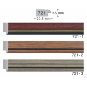 721 Series Moulding